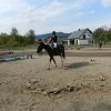 Babie Lato 2016